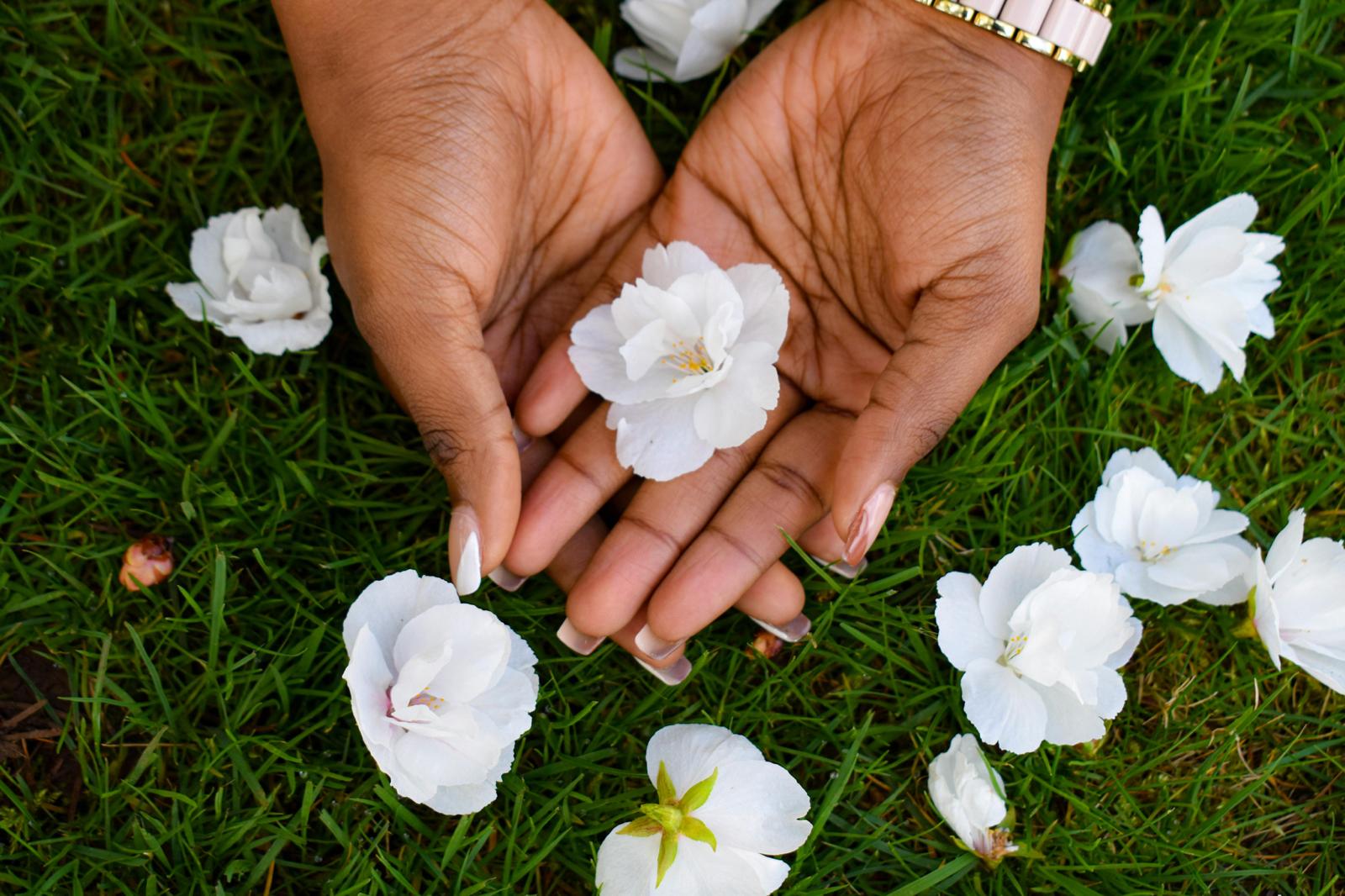Reiki-Fernbehandlung